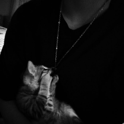 Foquisi
